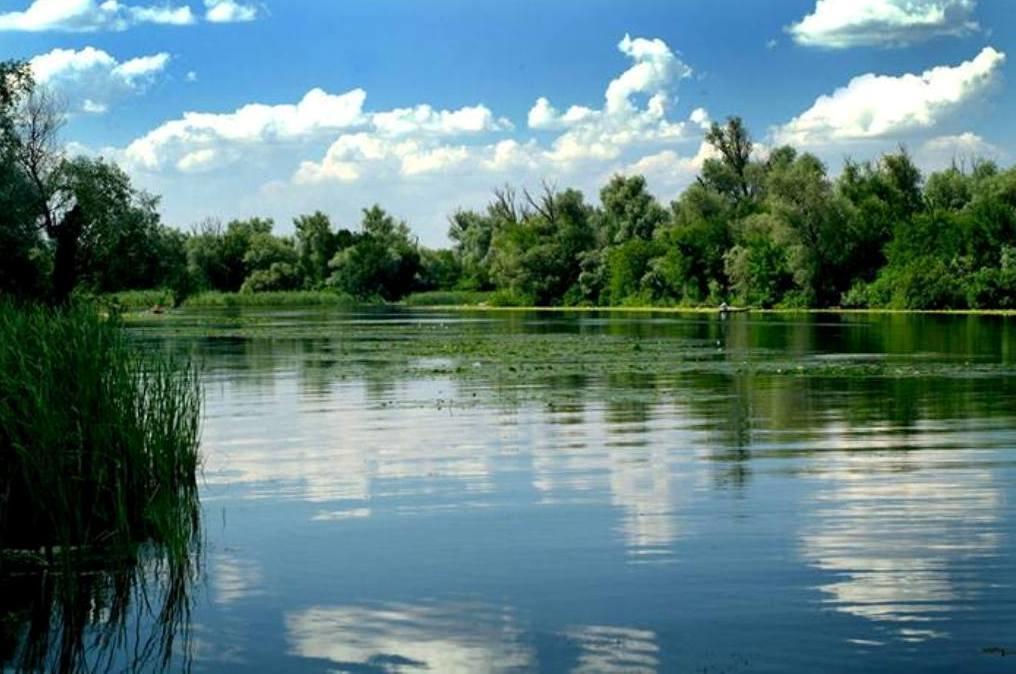Sagunovka Family Complex Ekokomfort מראה חיצוני תמונה